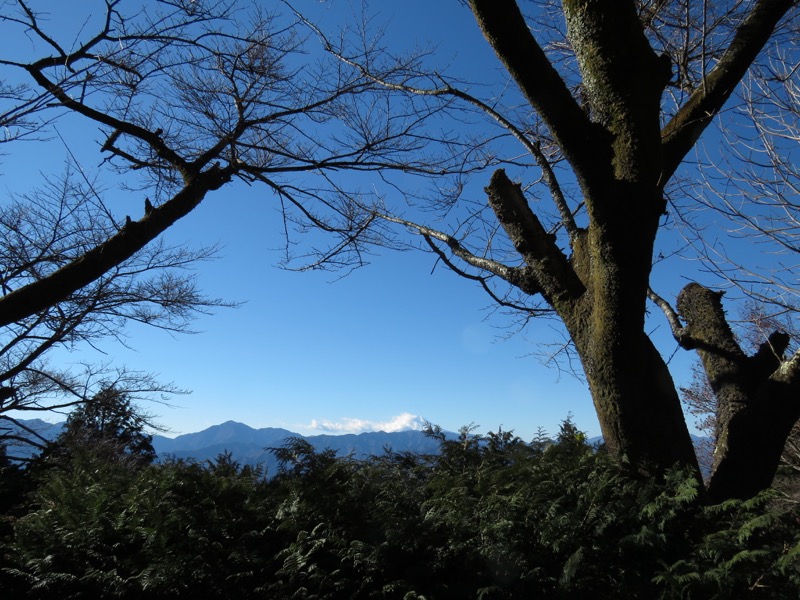 陣馬山,登山