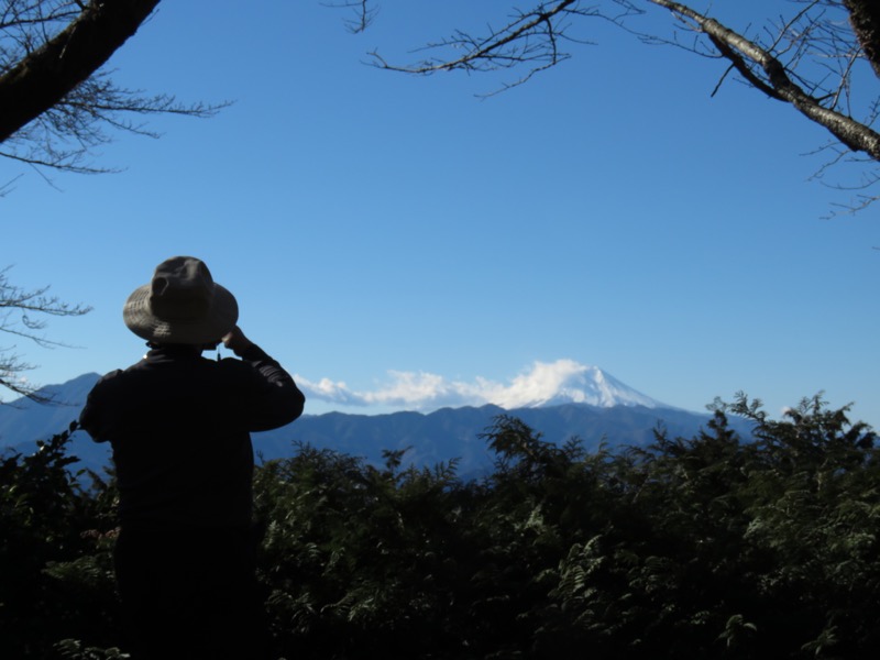 陣馬山,登山