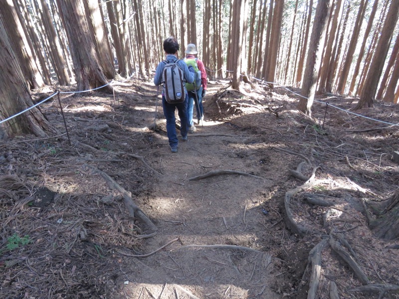 陣馬山,登山