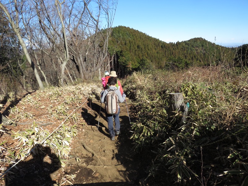 陣馬山,登山