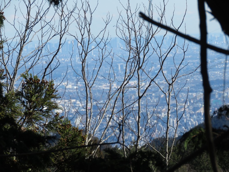 陣馬山,登山