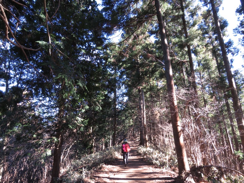 陣馬山,登山