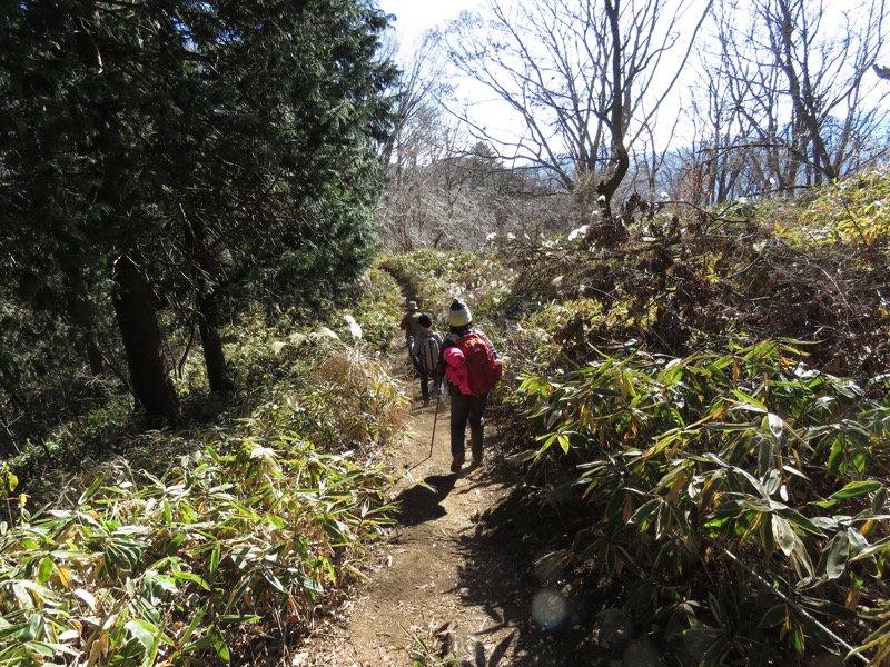 陣馬山,登山