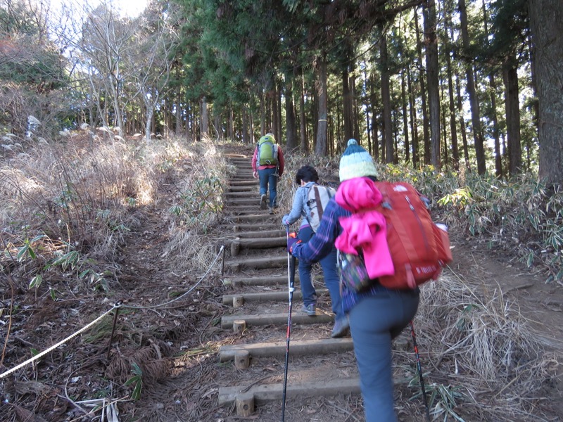 陣馬山,登山