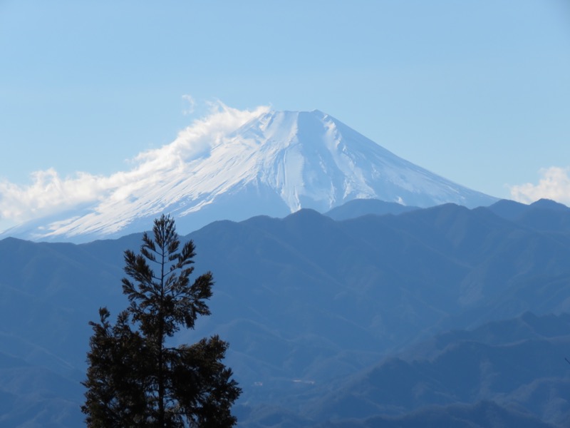 陣馬山,登山