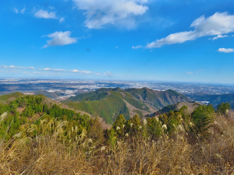 陣馬山,登山