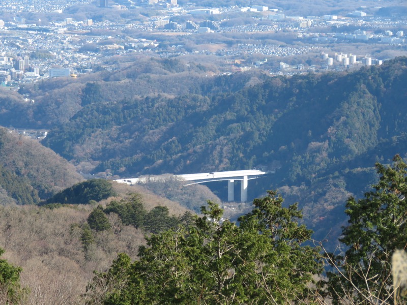 陣馬山,登山