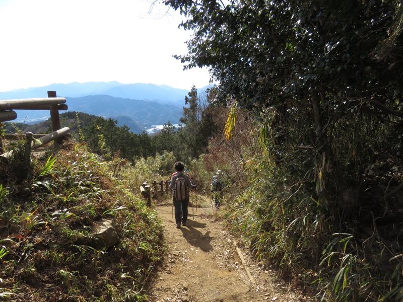 陣馬山,登山