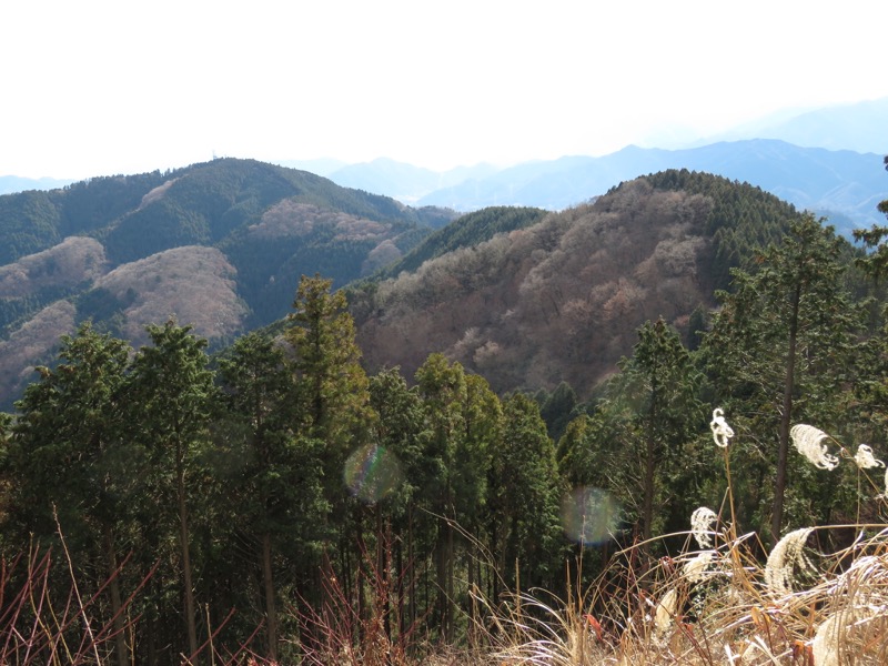 陣馬山,登山