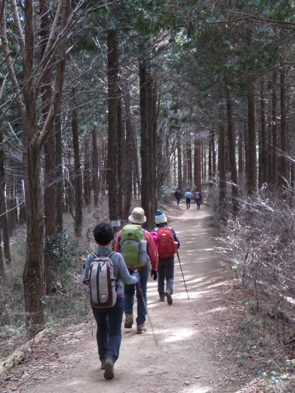 陣馬山,登山