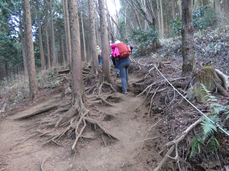 陣馬山,登山