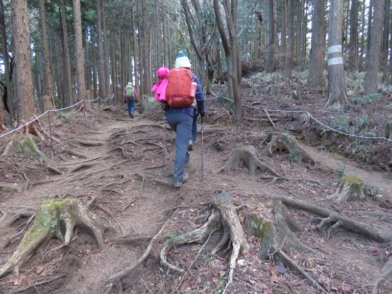 陣馬山,登山