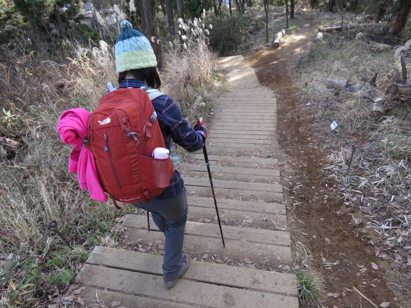 陣馬山,登山