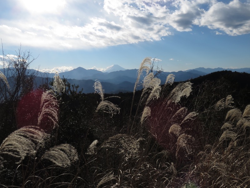 陣馬山,登山