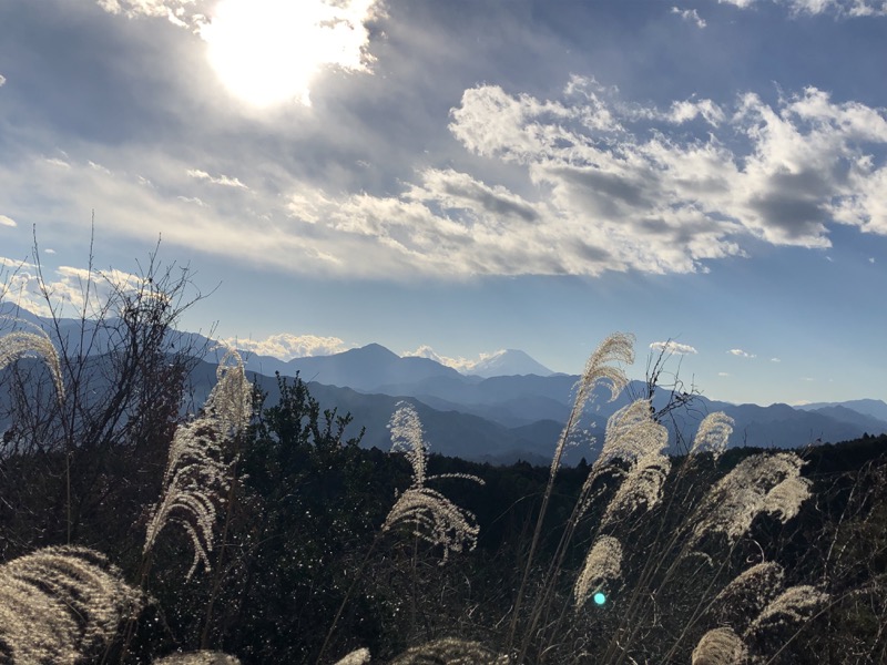 陣馬山,登山