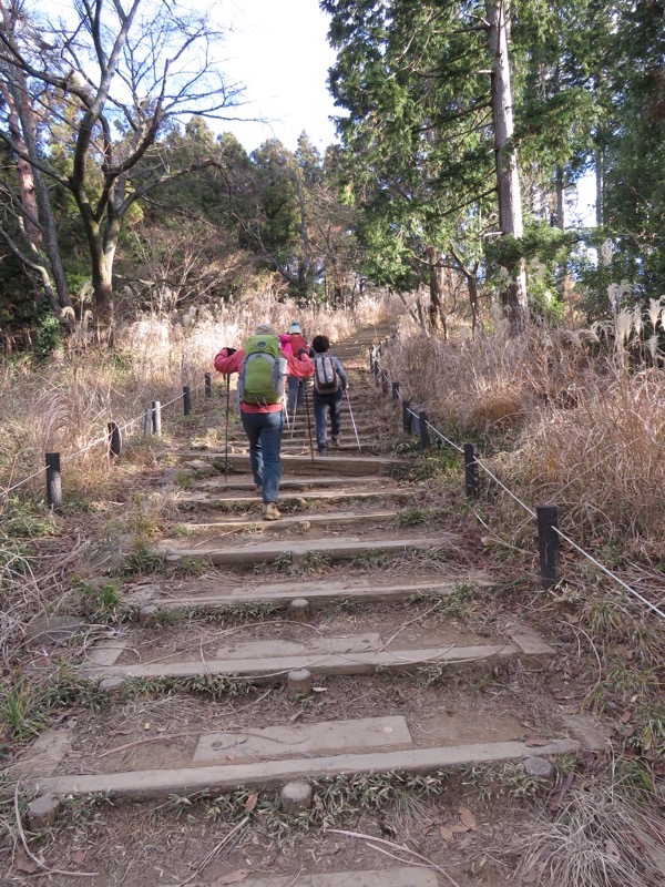 陣馬山,登山