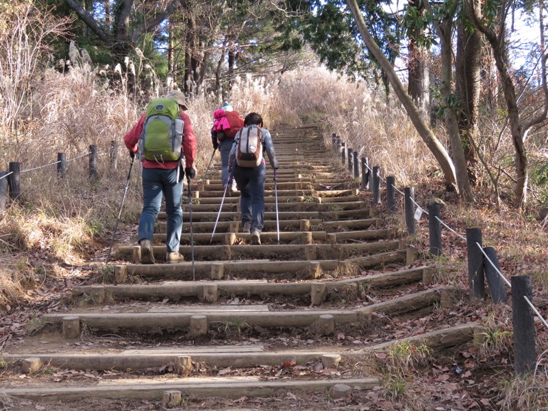 陣馬山,登山