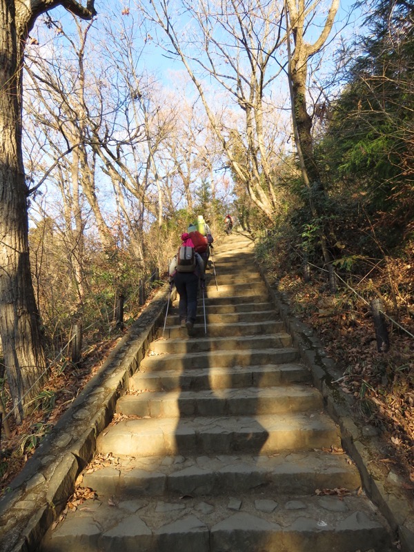 陣馬山,登山