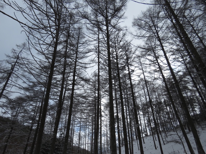 守屋山,登山