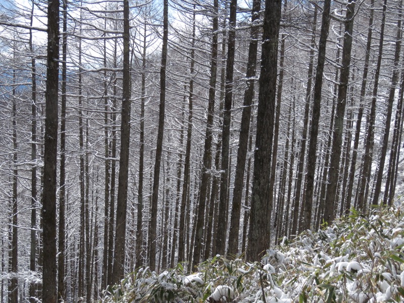 守屋山,登山