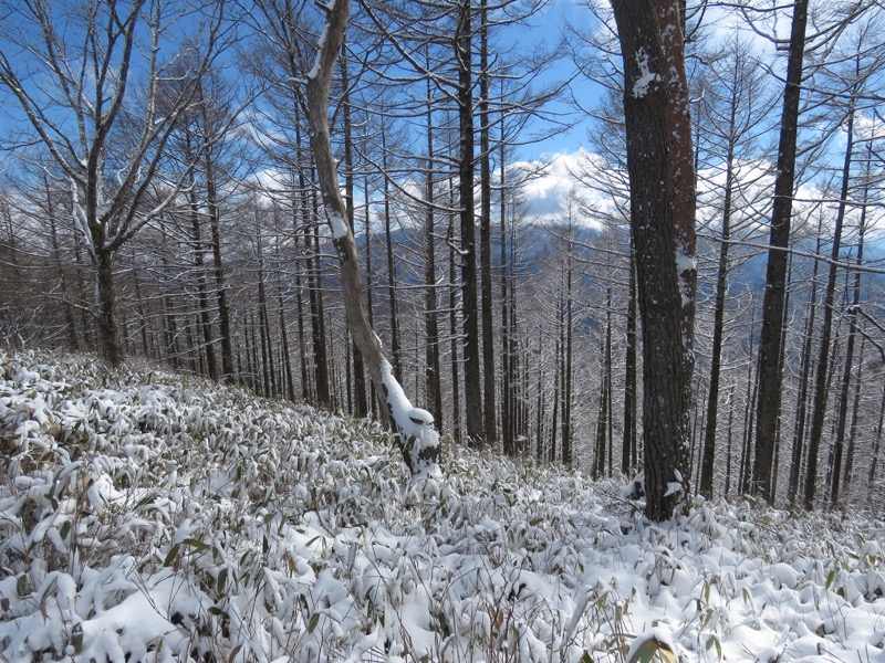 守屋山,登山