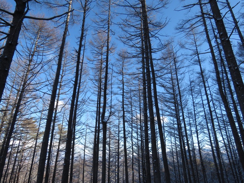 守屋山,登山