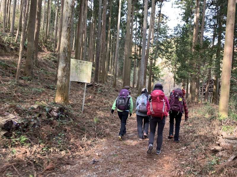 官ノ倉山登山