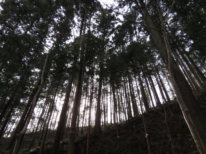 官ノ倉山登山