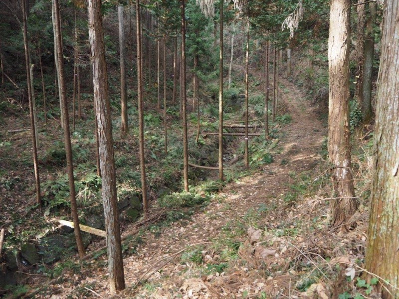 官ノ倉山登山