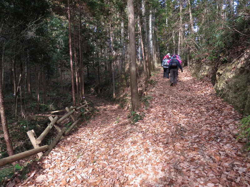 官ノ倉山登山