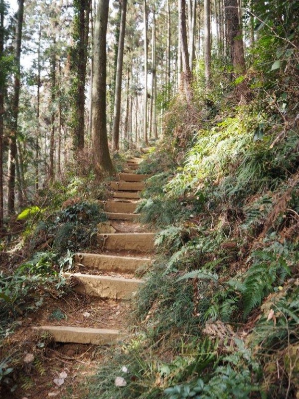 官ノ倉山登山