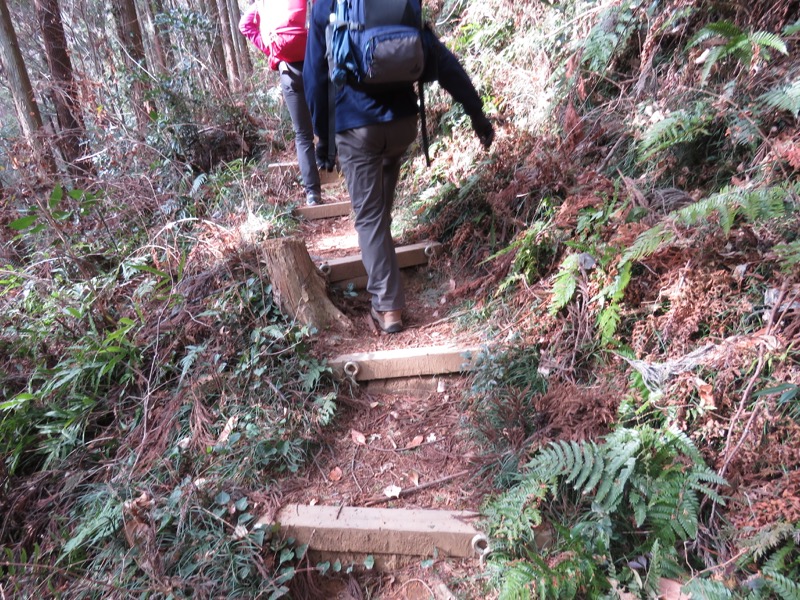 官ノ倉山登山