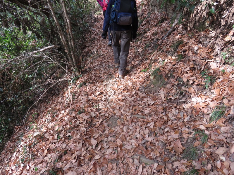 官ノ倉山登山