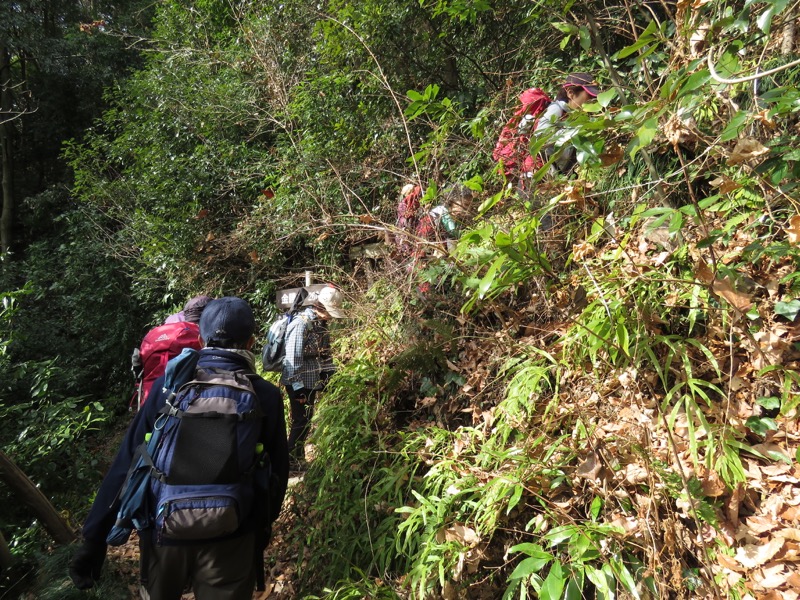 官ノ倉山登山