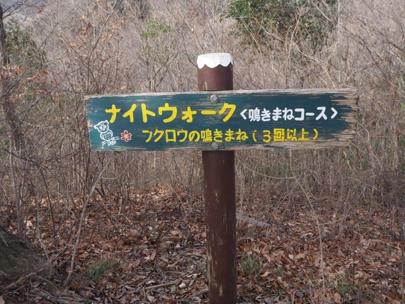 官ノ倉山登山