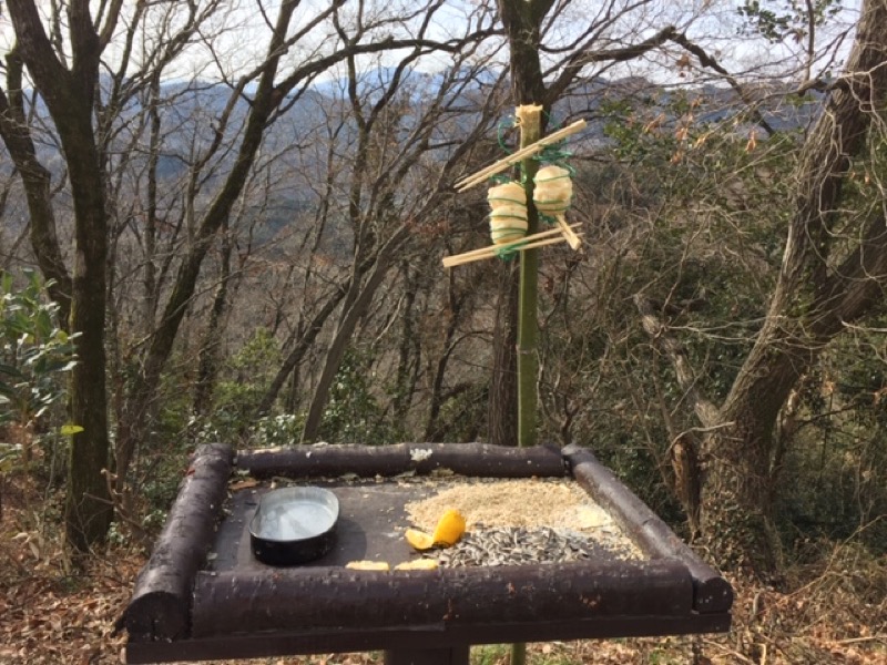 官ノ倉山登山