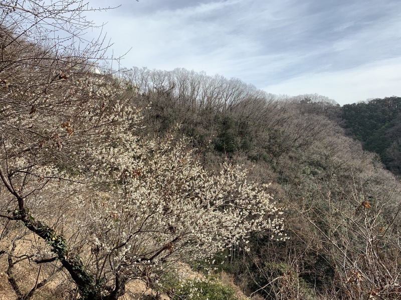 官ノ倉山登山