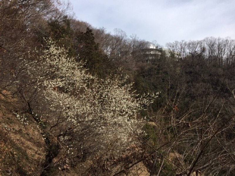 官ノ倉山登山