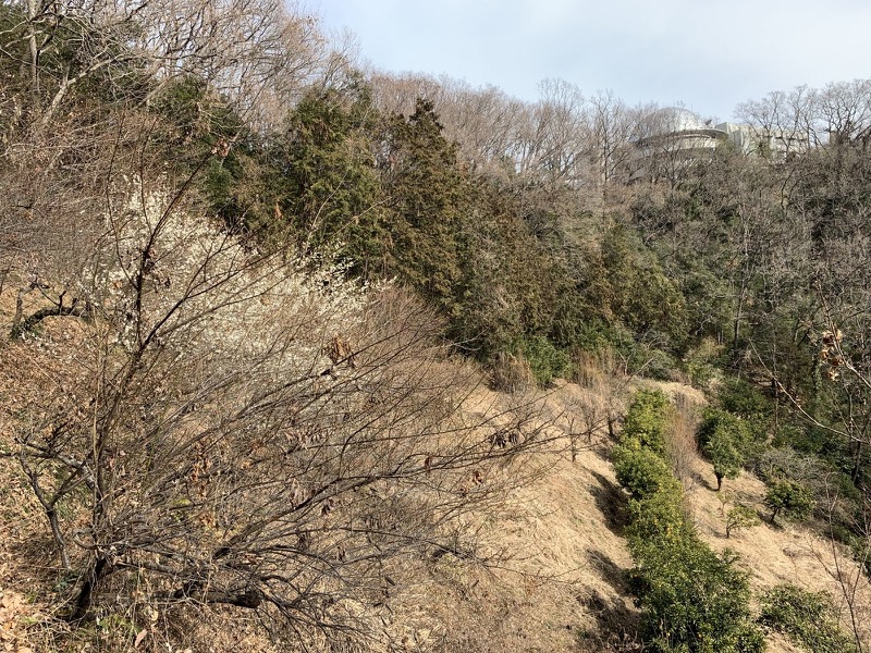 官ノ倉山登山