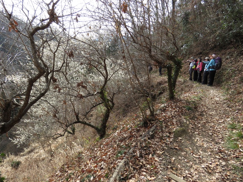 官ノ倉山登山