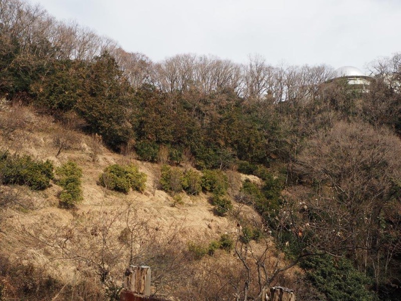 官ノ倉山登山