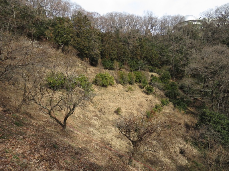 官ノ倉山登山