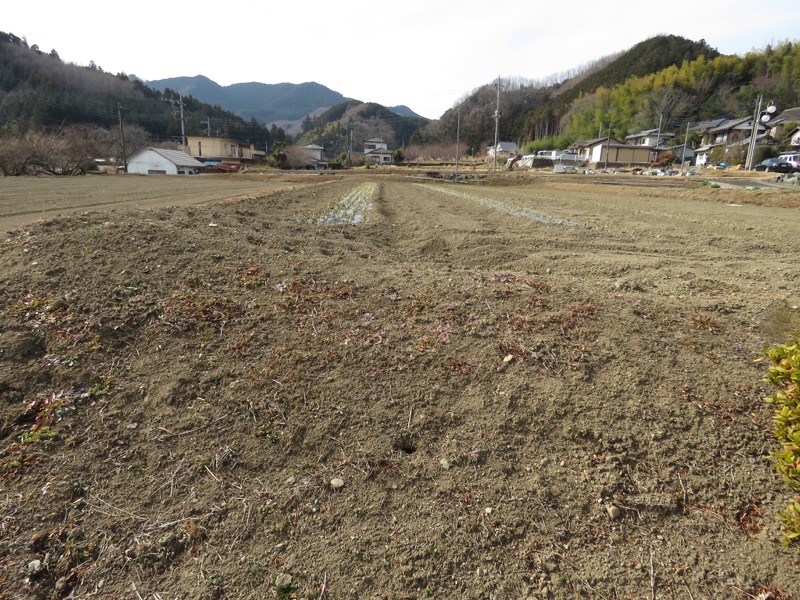 官ノ倉山登山