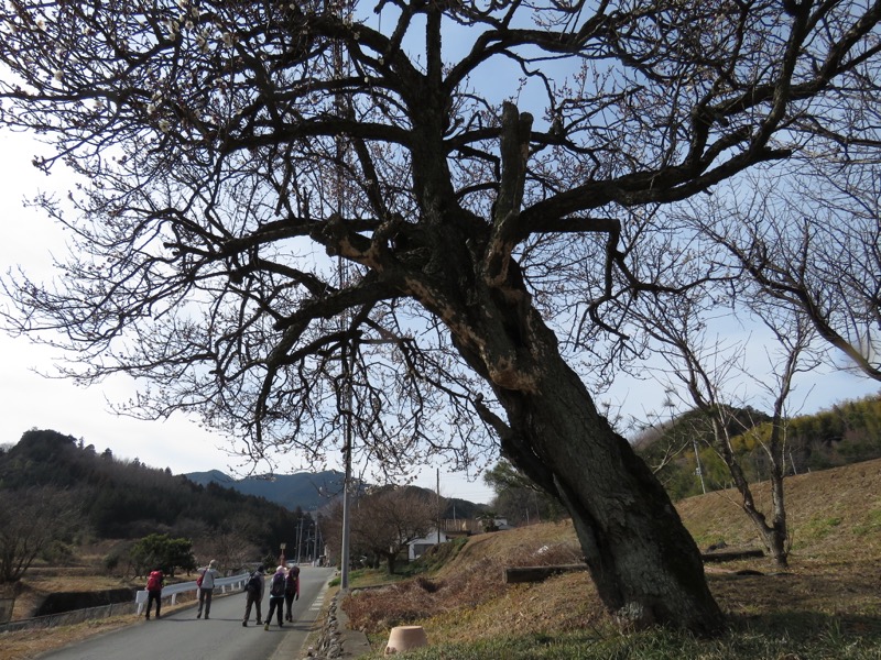 官ノ倉山登山