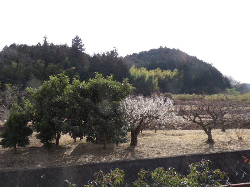 官ノ倉山登山