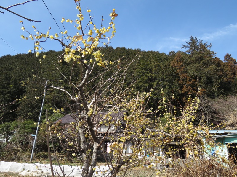 官ノ倉山登山