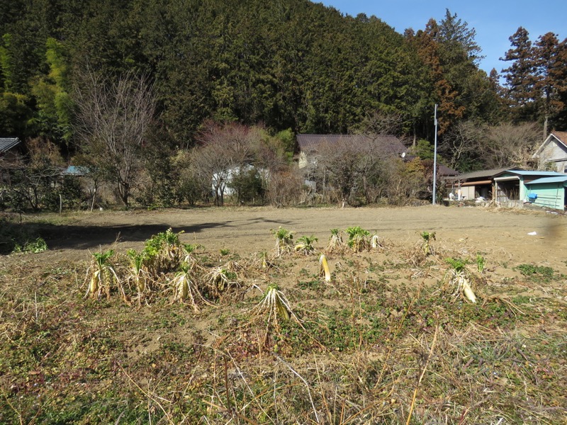 官ノ倉山登山