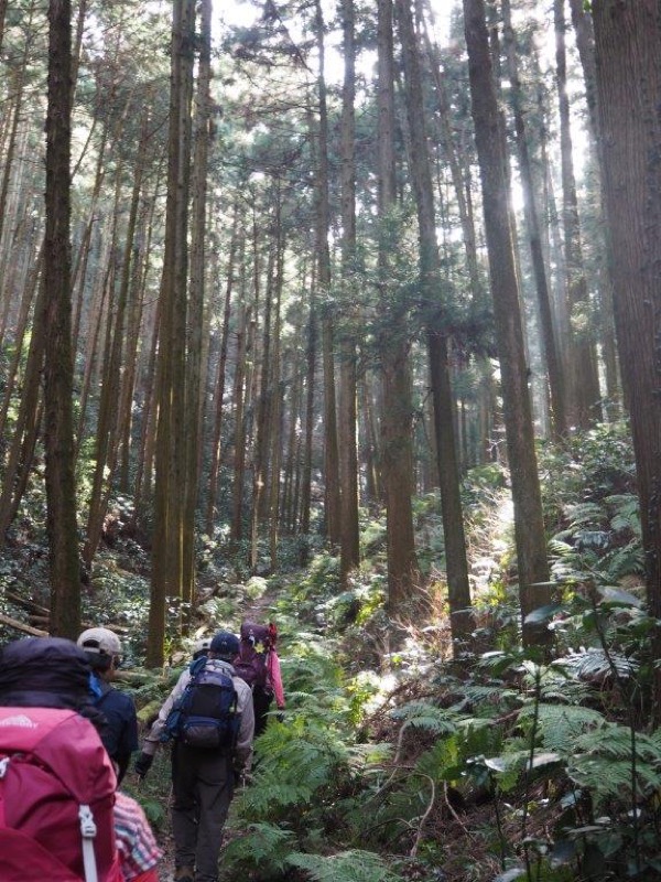 官ノ倉山登山