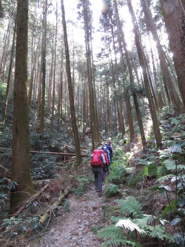 官ノ倉山登山