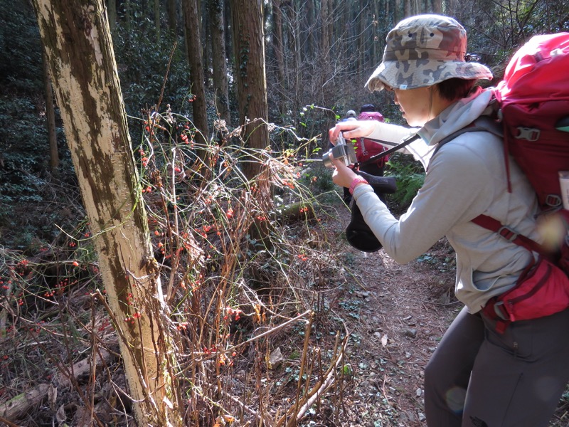 官ノ倉山登山